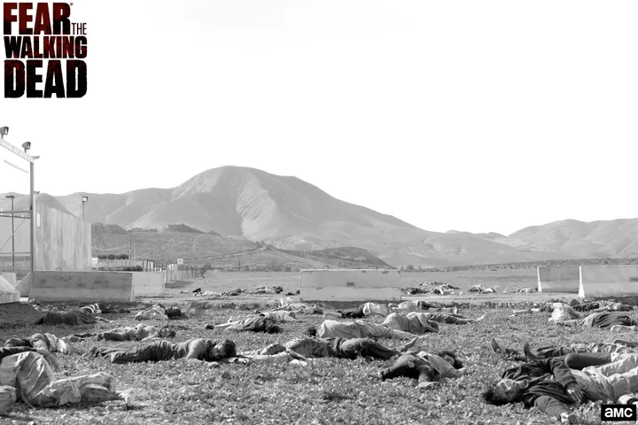 ftwd 301 md 0107 606 rt logo