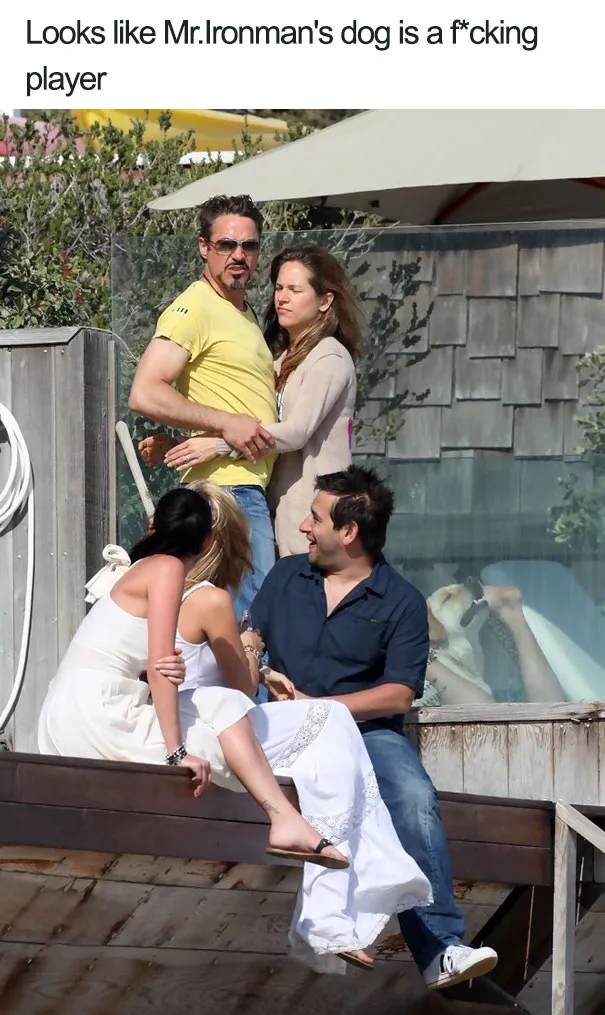 funny dog photobombs 95 58f081f0bbeb1 605