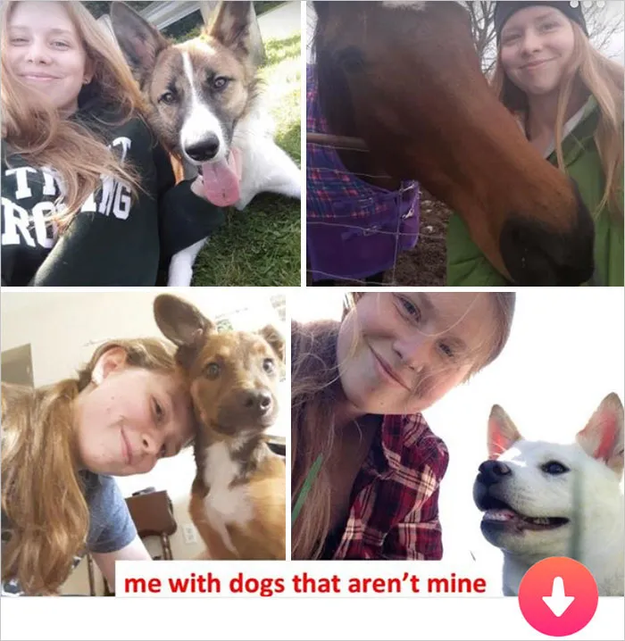 funny tinder profile powerpoint presentation 59edb58747711 700