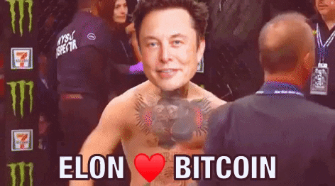giphy 4 1