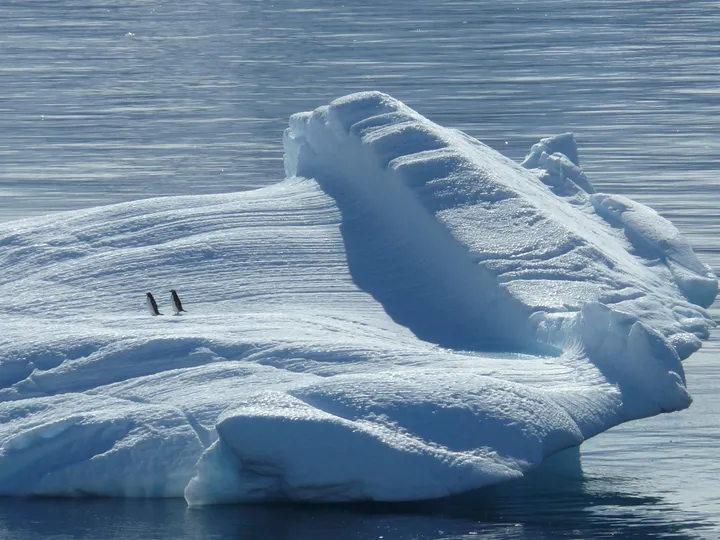 iceberg ge04740ff4 1920
