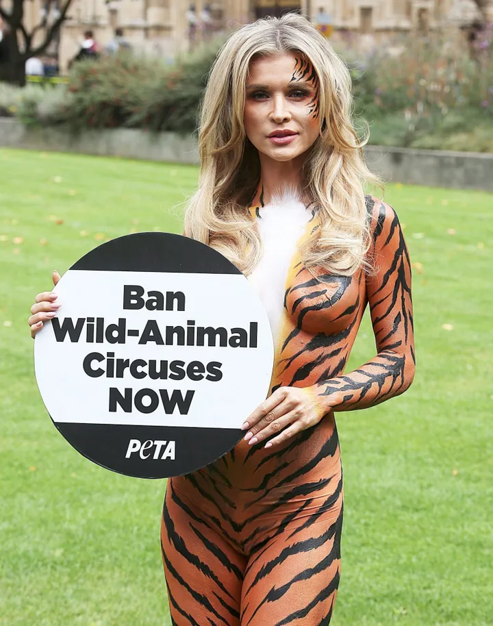 joanna krupa bodypaint 13