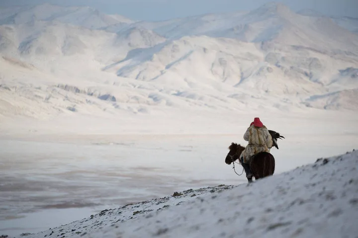 mountain horse hunting 0