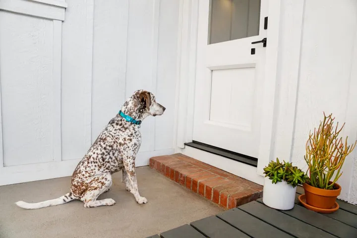 myq pet portal exterior side 100872978 large 1024x683