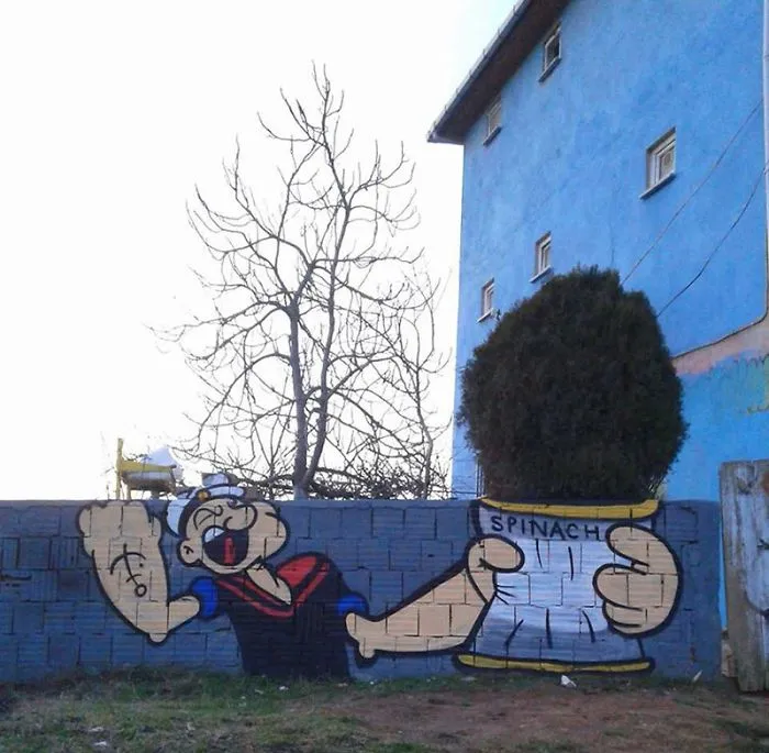 nature street art 70 58ee248824034 700