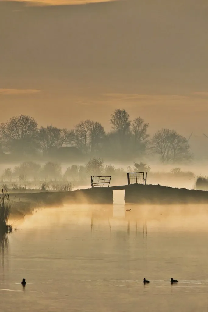 nevelige dageraad ton wever 683x1024