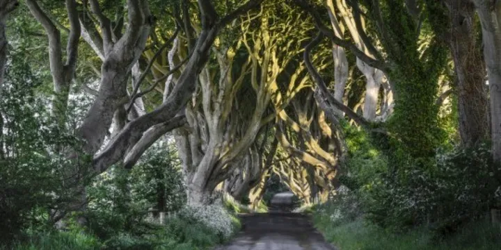 ogameofthronesnorthernirelandfacebook