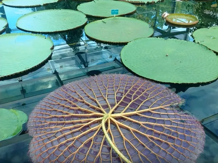 schermafbeelding 2018 09 20 om 145140