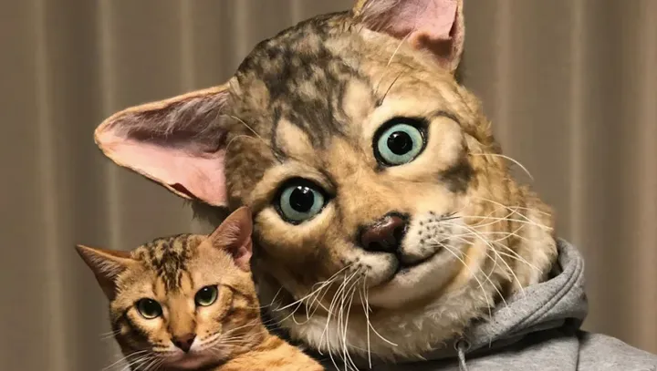 schermafbeelding 2020 01 07 om 163743