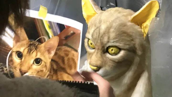 schermafbeelding 2020 01 07 om 163756