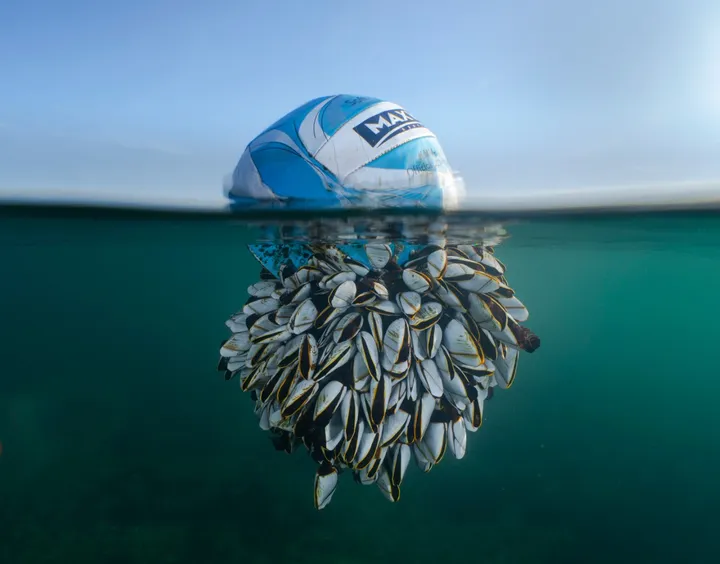 schermc2adafbeelding 2024 03 18 om 101546