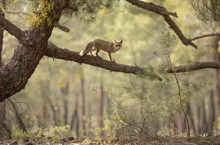 schermc2adafbeelding 2024 03 18 om 101556