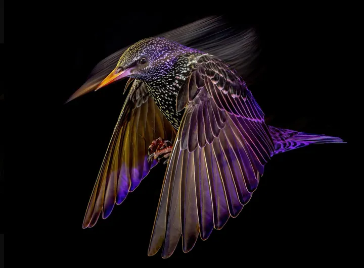 schermc2adafbeelding 2024 03 18 om 104725