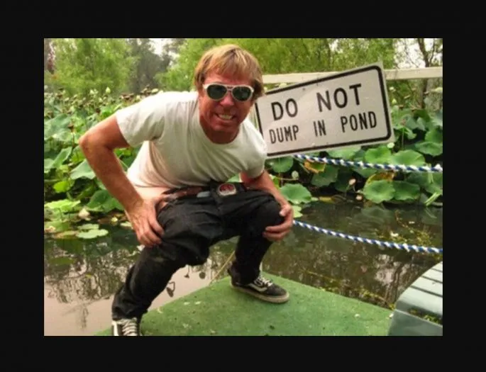 screen shot 2017 04 25 at 4 43 55 pm 685x525