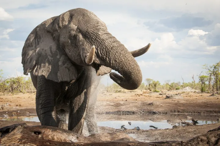 sur la iri zimbabwe 1024x680