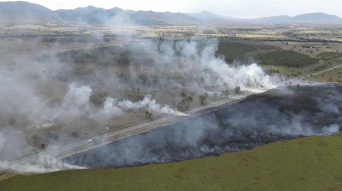 the positive alternative 14