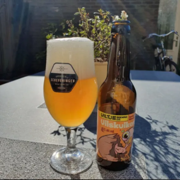 uilskuiken e1586512908824