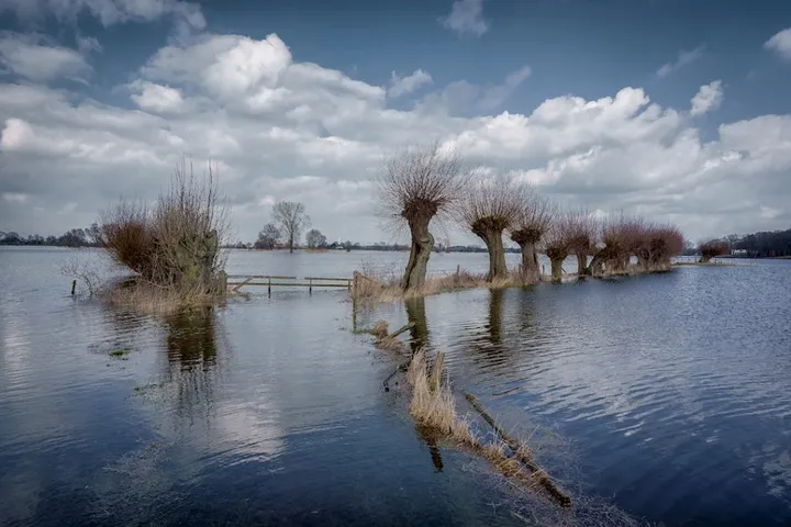 wetlands langs de ijssel ton constandse 1024x683