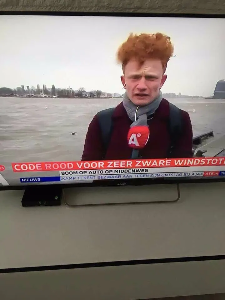 whatsapp image 2018 01 18 at 121637