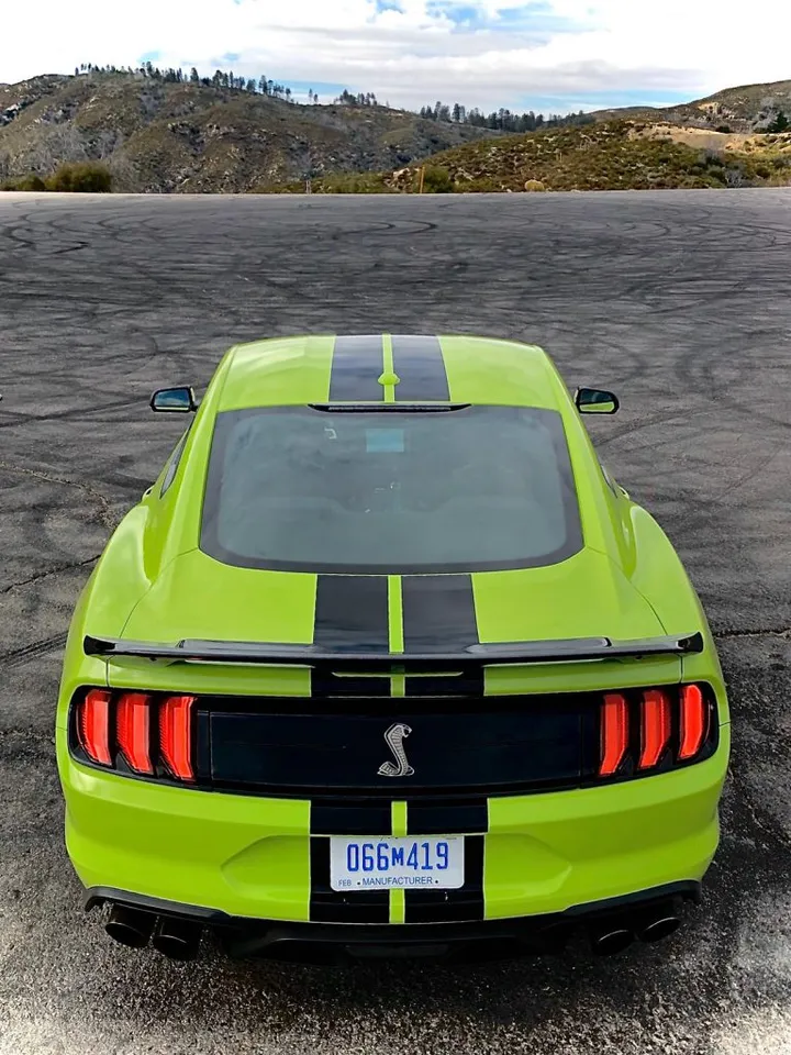 whatsapp image 2019 11 20 at 012012 kopie 768x1024