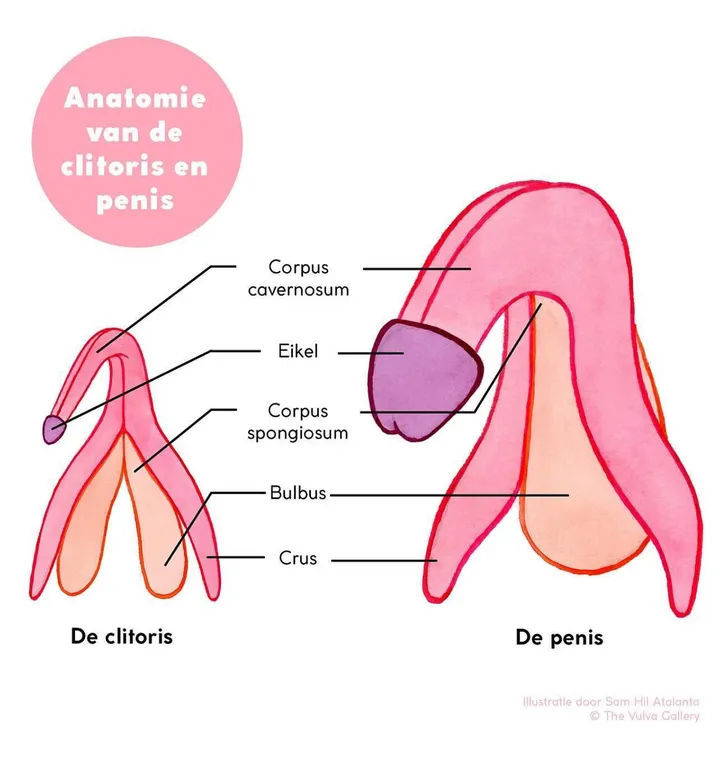 schermafbeelding 2024 05 14 om 120009