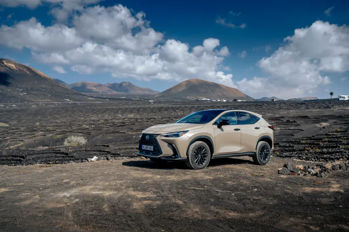 Die kleur matcht ook wel perfect met het landschap van Lanzarote.