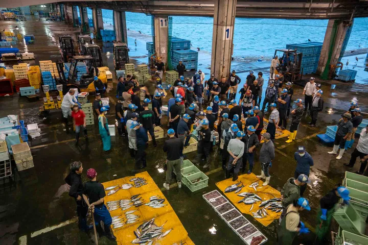 De visveiling van Himi Fishing Port.