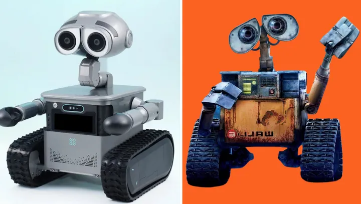 6 afbeelding galerij