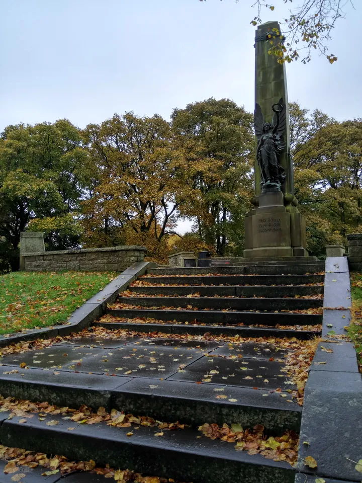 img 20161028 122223 hdr