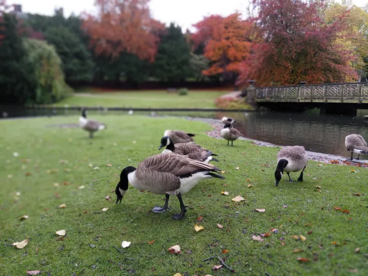 img 20161028 124134 stereo