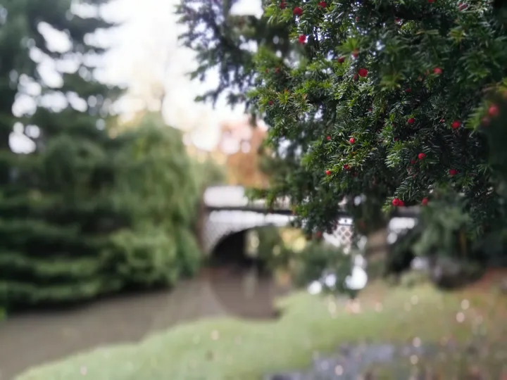 img 20161028 124444 stereo