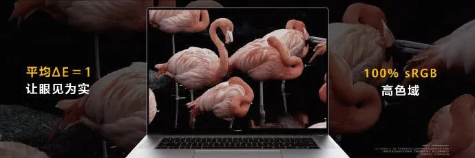 0020sxlvly1gqnr9dq028j62i00u018002