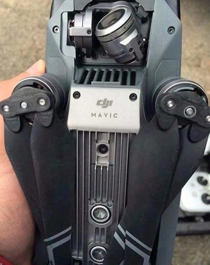 14354924 1837244079840227 2320904120357352343 n