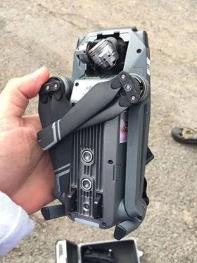 14398022 10157469131615416 2009553588 n