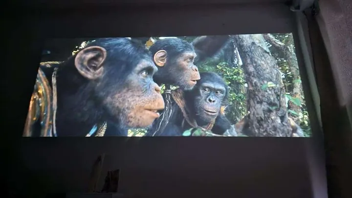 1725686469 1000018297 original