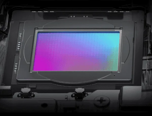 1bc17cf2 2d2d 491c 9478 472ca59fa86a