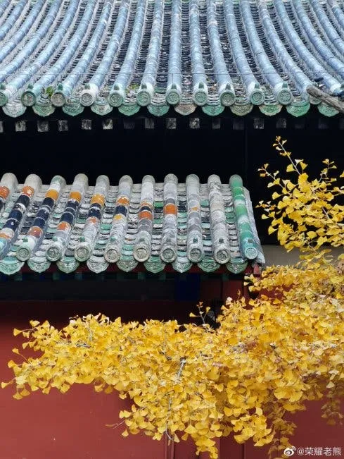 2019 11 13 141654 wwwgsmarenacom c518470394f0