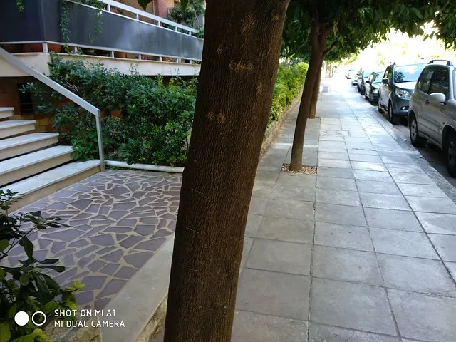 23897906758 f1fd2fda9e z