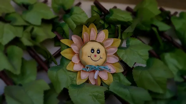 40279421271 7b559684e8 z