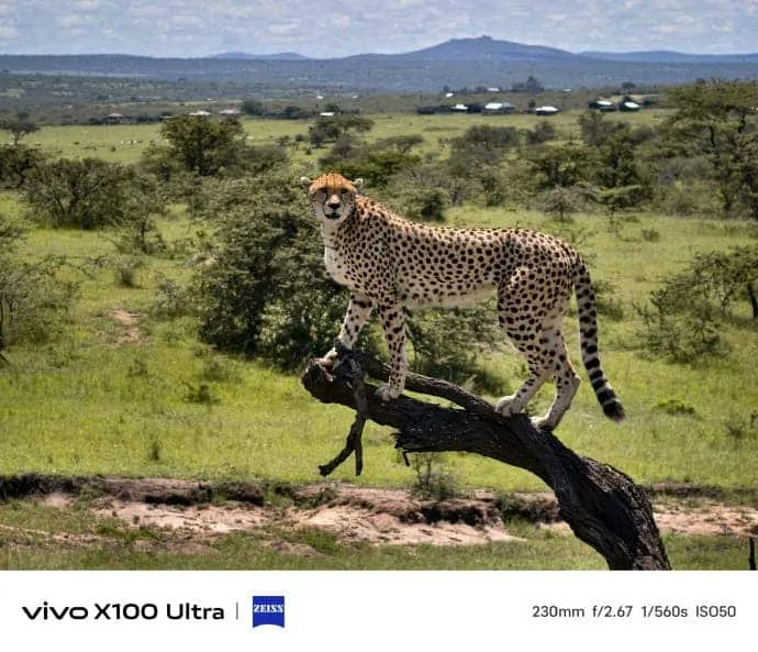 6e16364dgy1hpdxzi5e5fj235c2pg4qr