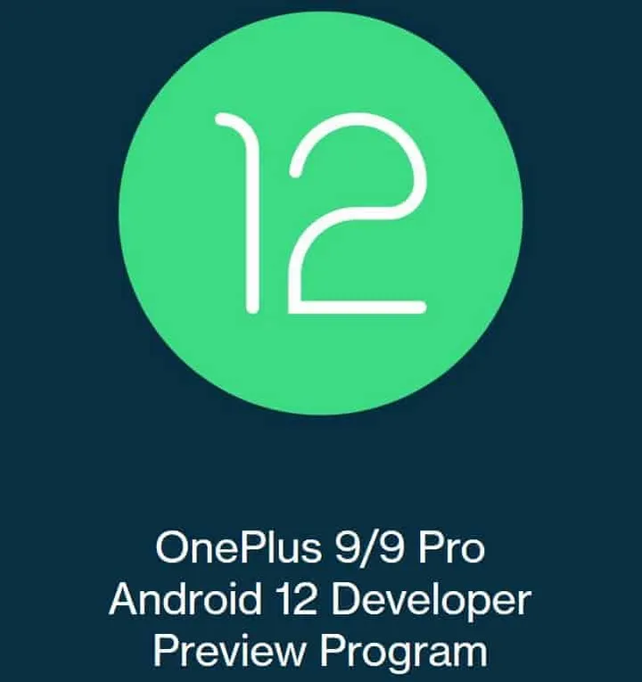 android 12 developer preview 2 for oneplus 9 and oneplus 9 pro