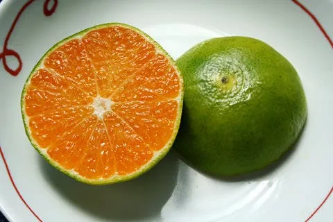 aomikan 5