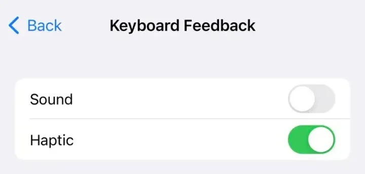 apple 6