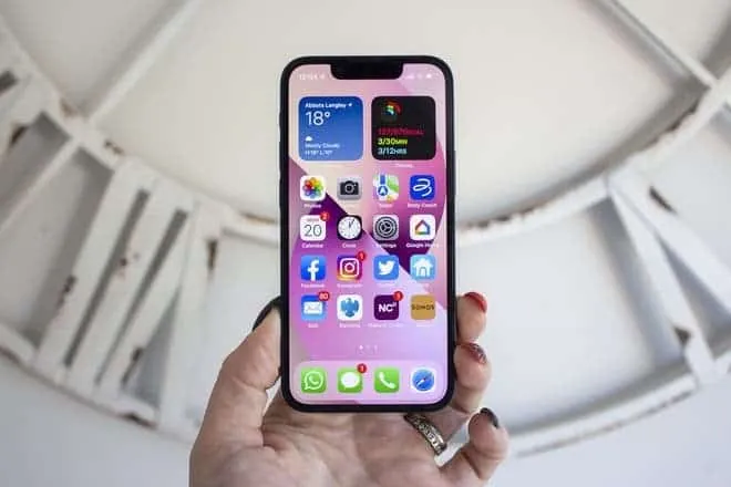 apple