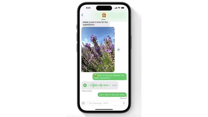 apple rcs 2