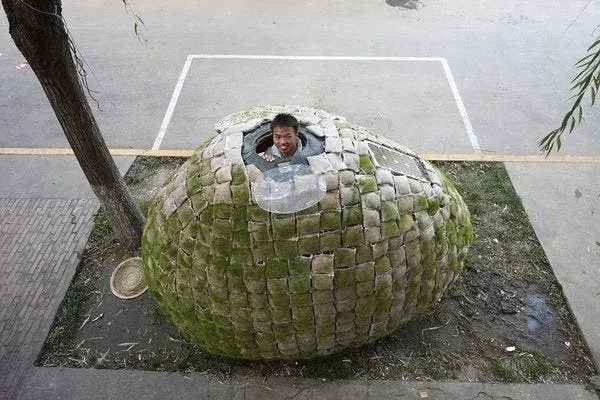 beijing egg house has to go