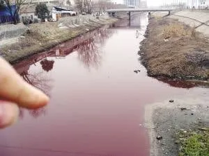 blood river