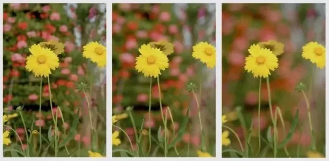camera focus
