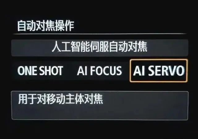 camera focus d
