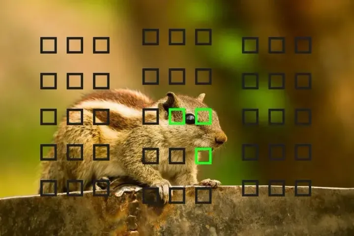 camera focus i